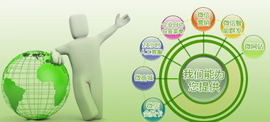 產(chǎn)品成長(zhǎng)期 企業(yè)營(yíng)銷(xiāo)型網(wǎng)站與產(chǎn)品共同成長(zhǎng)的戰(zhàn)略融合